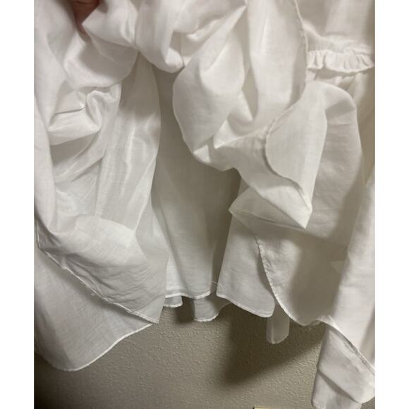 Robert Rodriguez Size 10 Dress Romantic Tiered Lined Victorian Peasant Prairie - Picture 7 of 14